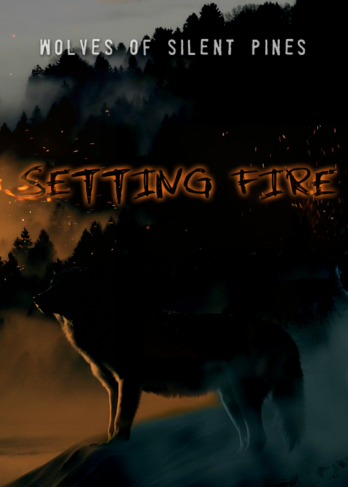 Setting Fire 03: The Girl in the Steelers Cap